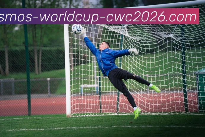 2026世界杯平台生态图